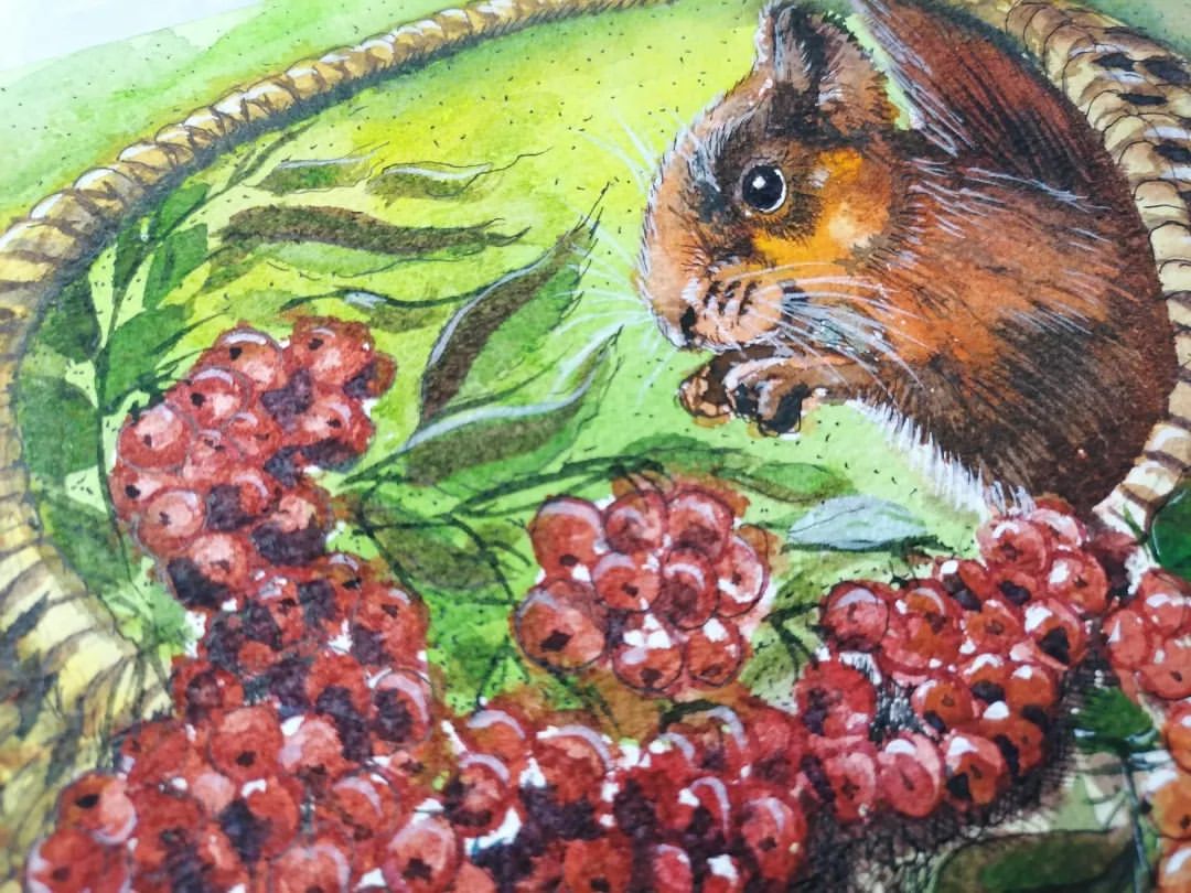 sashka_cheburashka_art в LOOKY — фото 7