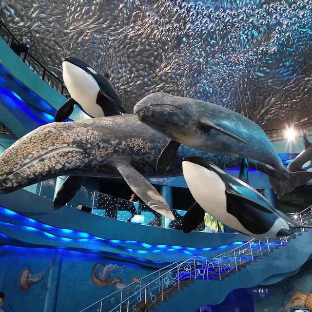 bereza810 в LOOKY. . Очень порадовал Прим...