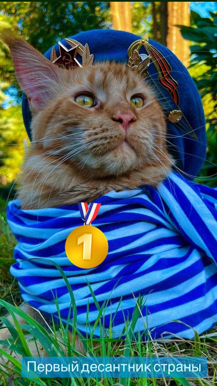 gavrdusha в LOOKY. #mainecoon_banda,#мейнкун,#мейнкуны,#мейн_кун,#мейнкунырулят,#мейн,#мейнкунроссия,#мэйнкун,#мэйнкуны,#мэйнкуныонитакие,#мейнкунысамыебольшиекошкивмире,#mainecoon_banda,#мэйнкунфото,#мейнкункотята,#гаврдуша,#мейнкунпродажакотят,#мейнкунспб. Ребята, всем привети...