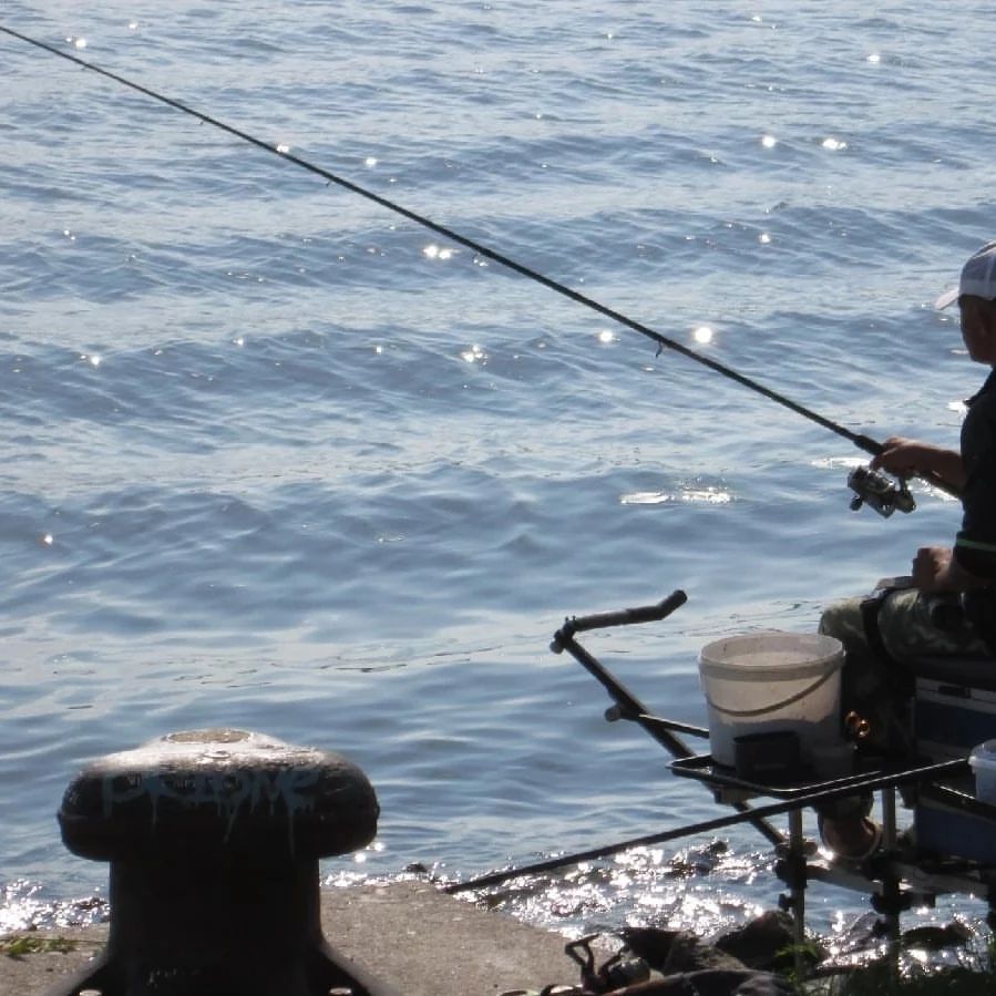 alexey_v_fishing в LOOKY — фото 1