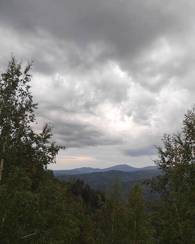 any.more_ в LOOKY. . null