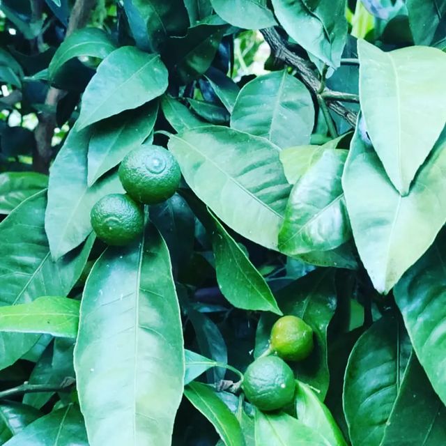 aselyok89 в LOOKY. . null