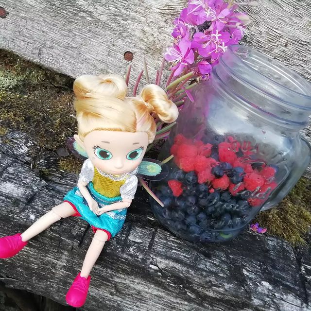 ulya_dollstory в LOOKY. #blueberries,#raspberry,#doll,#ягодки,#феечка,#коллекциикукол,#кукла,#лето. Ягодный пост
#bluebe...