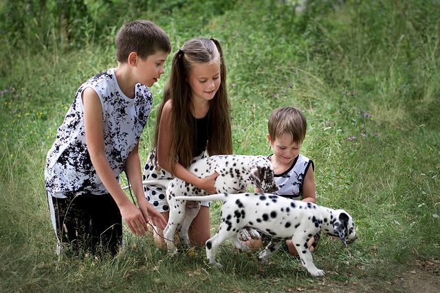 sukhanova.photographer в LOOKY. . Исполнила мечту детс...