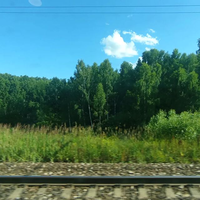 evago3422 в LOOKY. #красное#калужскаяобласть#лето#жара#видизокна#всейсемьёй#отдых#быловесело🌼🌸☀️🌹🥰❤️🔥🌈🥳🤯🤡🎉😻🐳💨🤭😁😁😁. #красное#калужскаяоб...