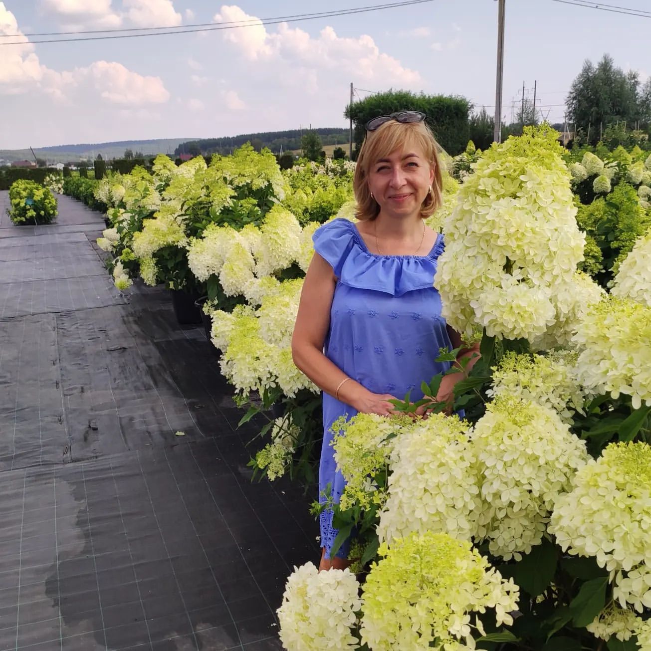 С профессией я определилась рано. Но есть у меня ещё одна страсть. Помню, как говорила маме, что если бы не бухгалтерия, то хотела бы работать в цветочном магазине😊. А сегодня поняла, нет магазин это мелко, А вот питомник🔥! Но... профессии не изменяю и потихоньку создаю свой цветочный рай дома. @veragluhova_official у Вас круто!