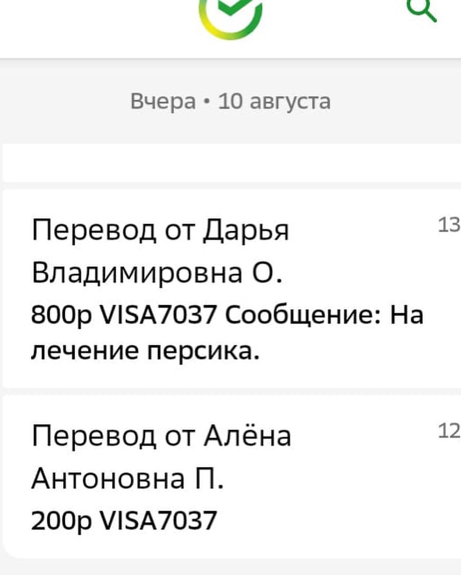 persik_fipwarrior в LOOKY — фото 2