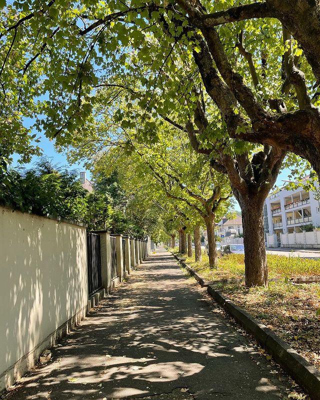 etroitskaya в LOOKY. . Lörrach❤️

Vielen Da...