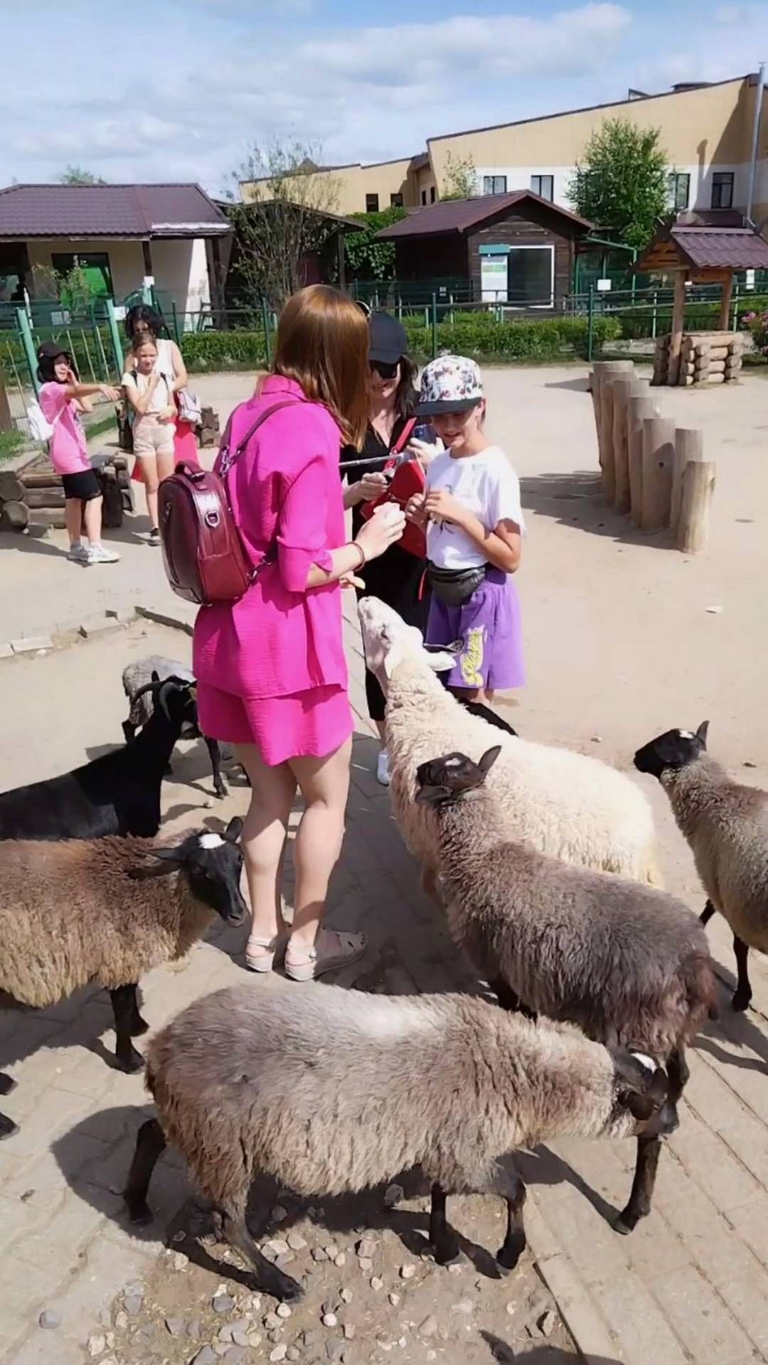 tarasova.2a в LOOKY. #Ярославскийзоопарк,#зоопарк,#контактныйзоопарк,#zoo,#animals. 🐑🐐
#Ярославскийзоо...