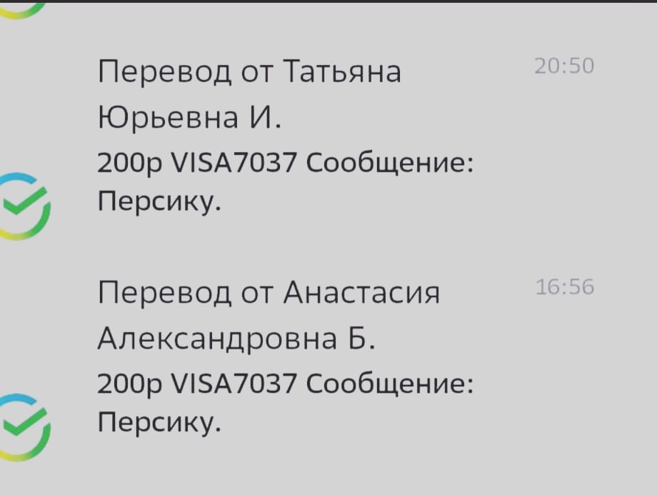 persik_fipwarrior в LOOKY — фото 2