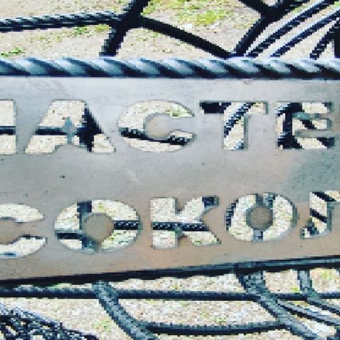 mastersokol в LOOKY. #массаж. Муравей из арматуры ...