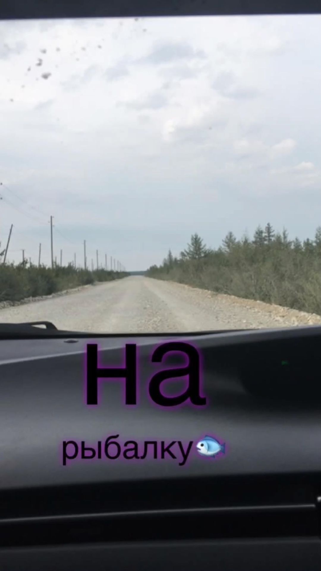 __tolyamba__ в LOOKY. . null