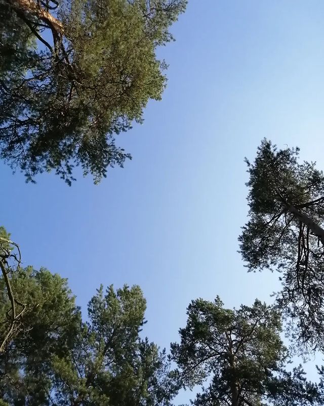 mayamalinovskaya в LOOKY. . Немного безмятежност...