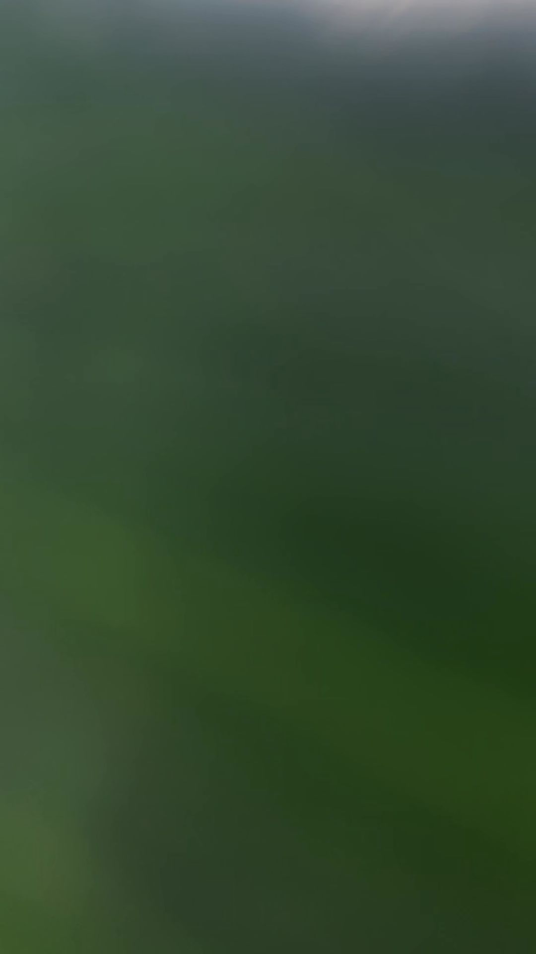 sfm_shh в LOOKY. . null