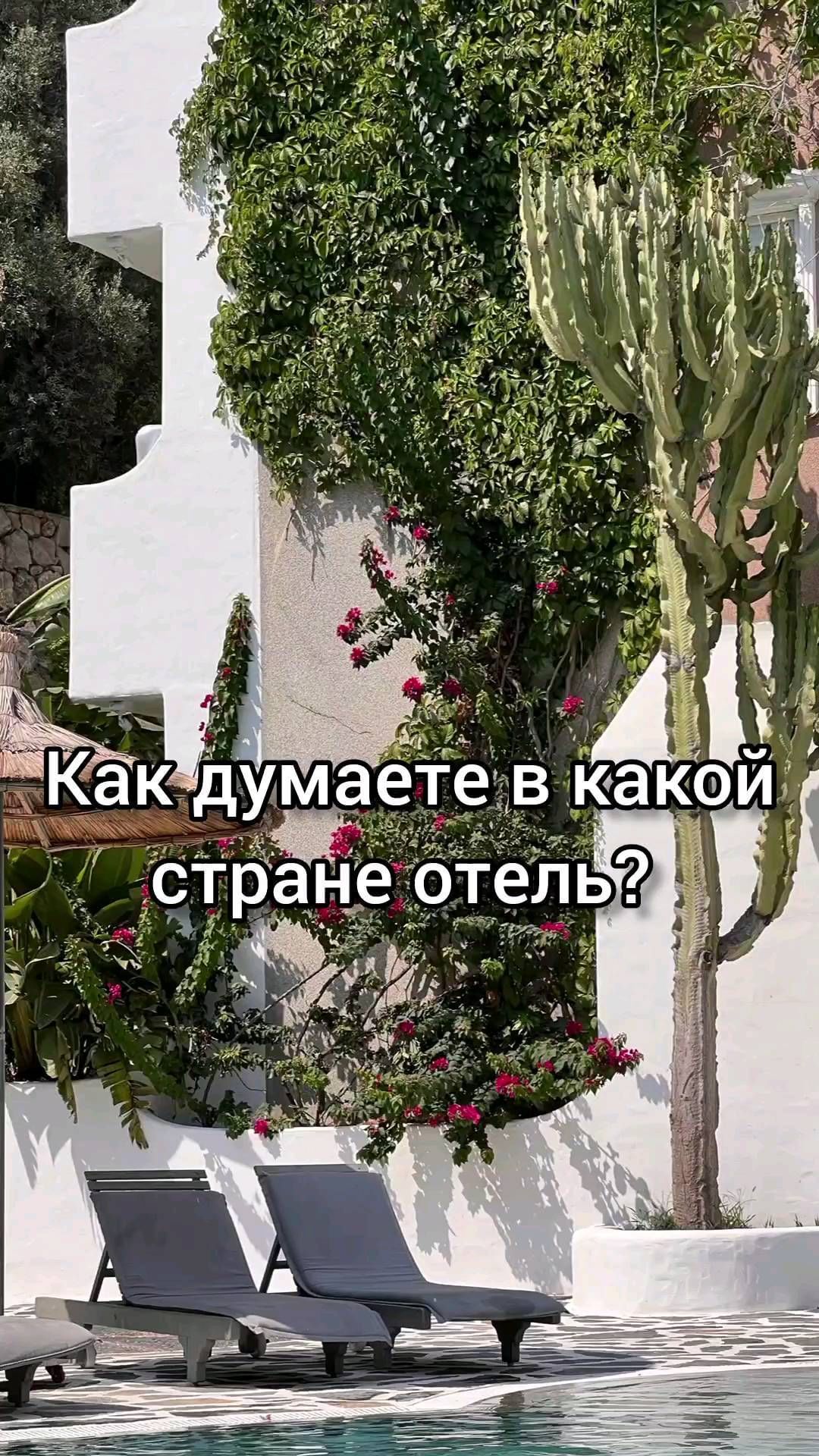 turagent.flamingo в LOOKY. . На юго-западе Турции...