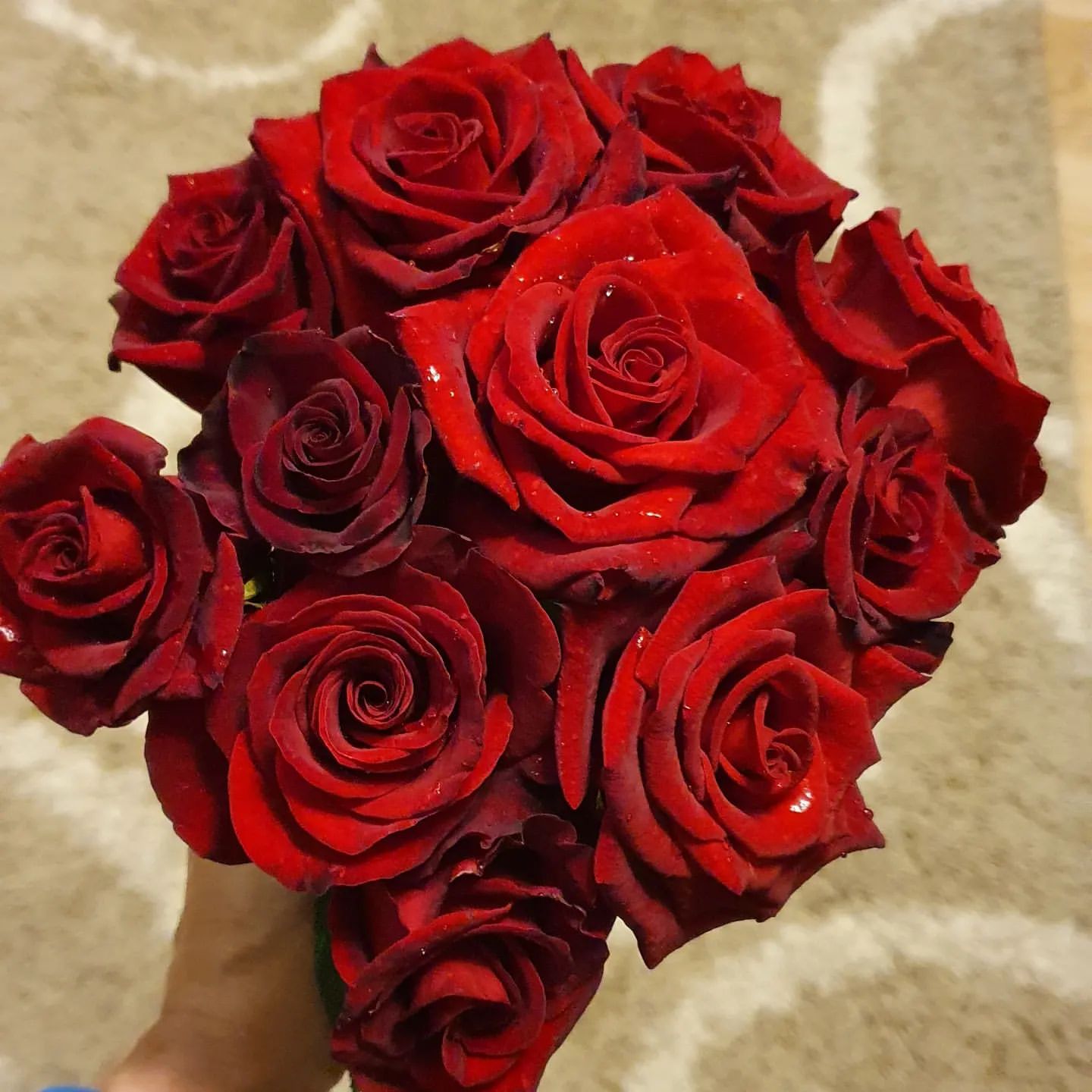 kot_n81 в LOOKY. . Цветы не всегда пока...