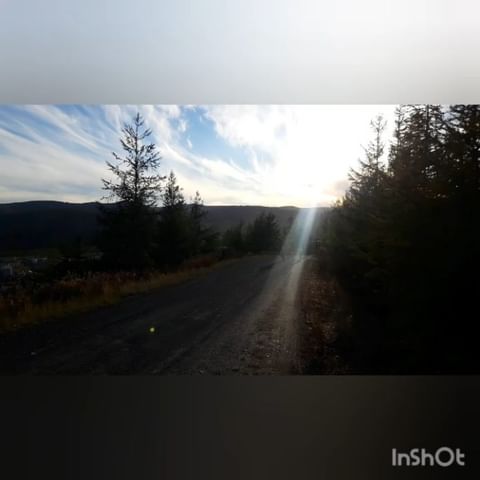 t_a_lot в LOOKY. . null