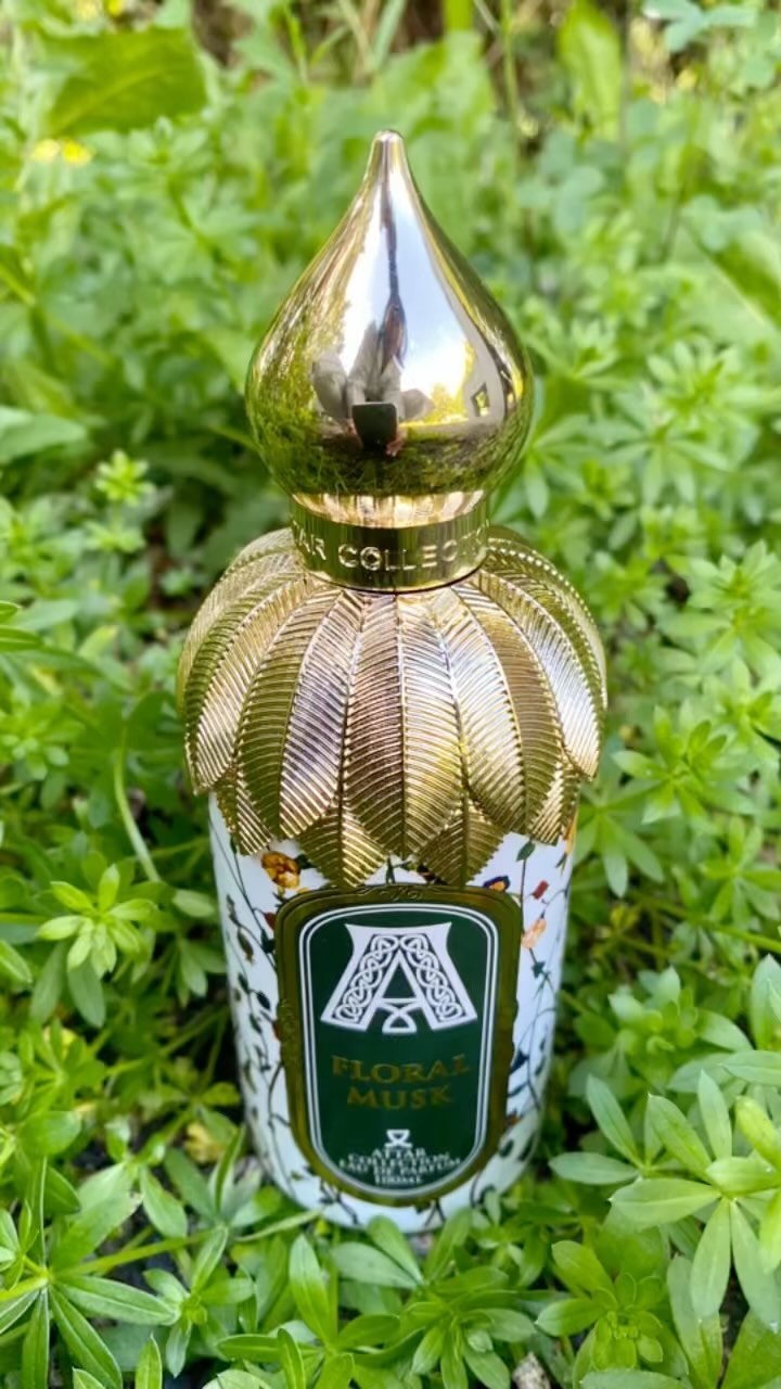 absolute_parfume_nsk в LOOKY. #нишеваяпарфюмерия,#нишевыйпарфюм,#нишевыйаромат,#селективнаяпарфюмерия,#селективныйпарфюм,#распивпарфюма,#распивнишевойпарфюмерии,#absoluteparfumensk,#attarcollection. Нереально низкие цен...