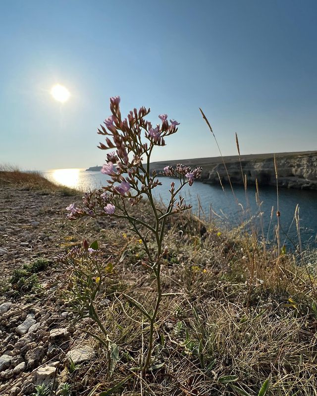 staroverova.proland в LOOKY. . Моменты из отпуска.
...