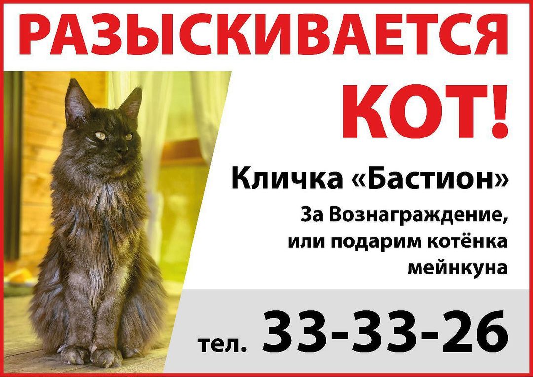 gavrdusha в LOOKY — 🆘🆘🆘🆘🆘🆘 
ВНИМАНИЕ‼️
‼️РАЗЫСКИВАЕТСЯ КОТ‼️
‼️г. ТОМСК‼️
