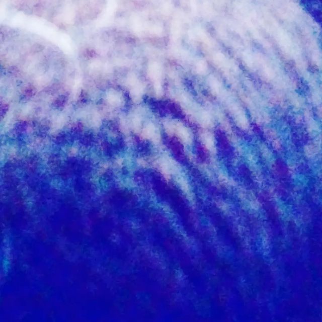 Juan Argho в LOOKY. . null
