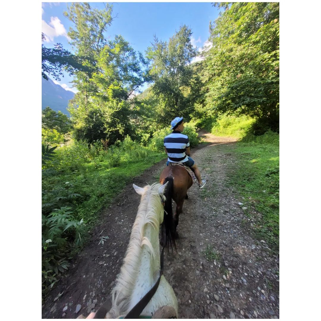 _yarik_volte9ps1k в LOOKY — 🐎