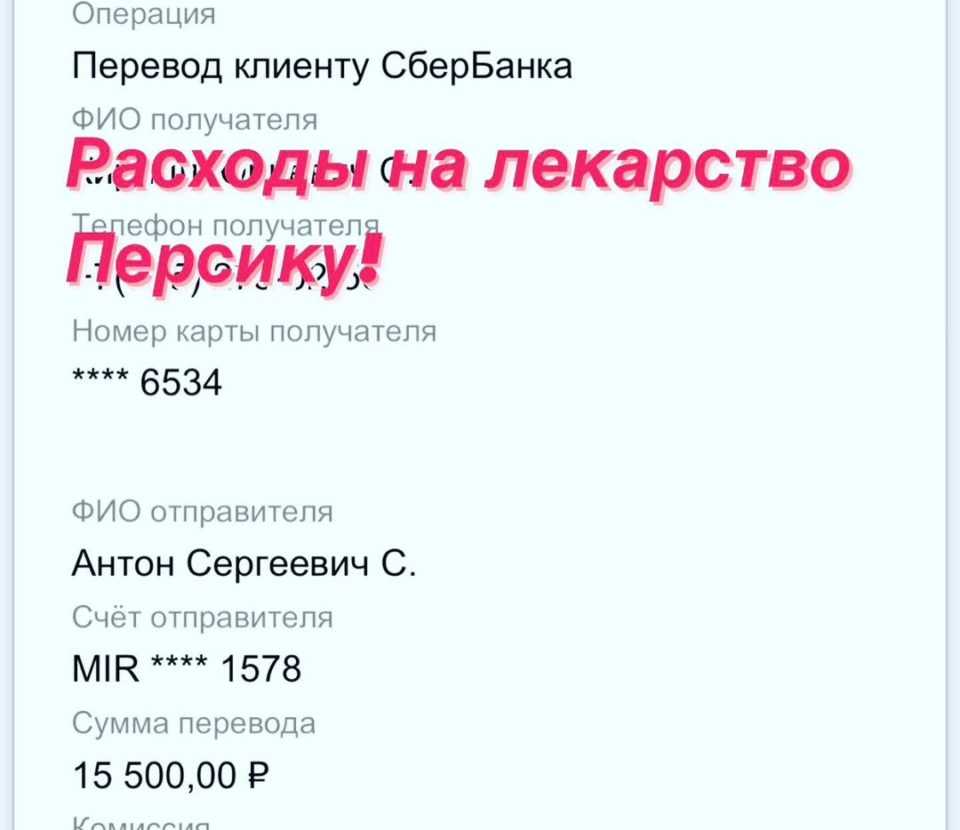 persik_fipwarrior в LOOKY — фото 9
