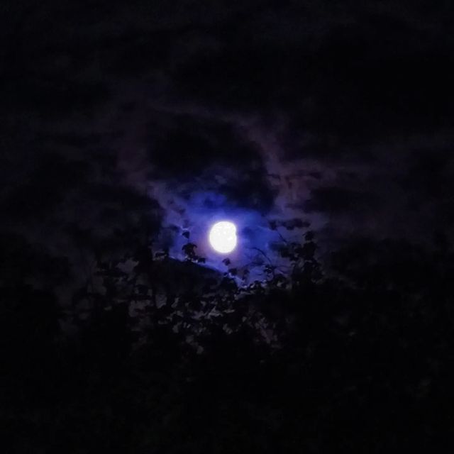 rozaliashafigullina в LOOKY. #2022,#лето. 🌙

#2022 #лето