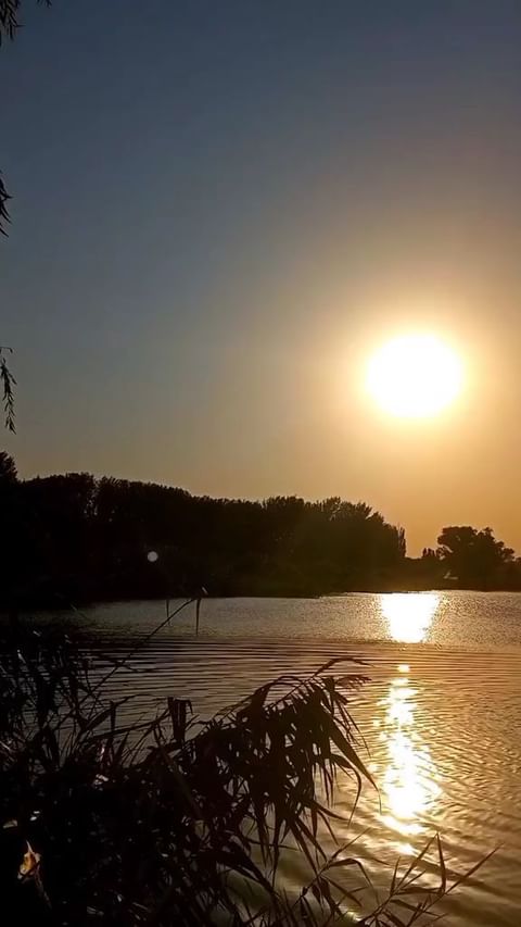 marina.den в LOOKY. . null