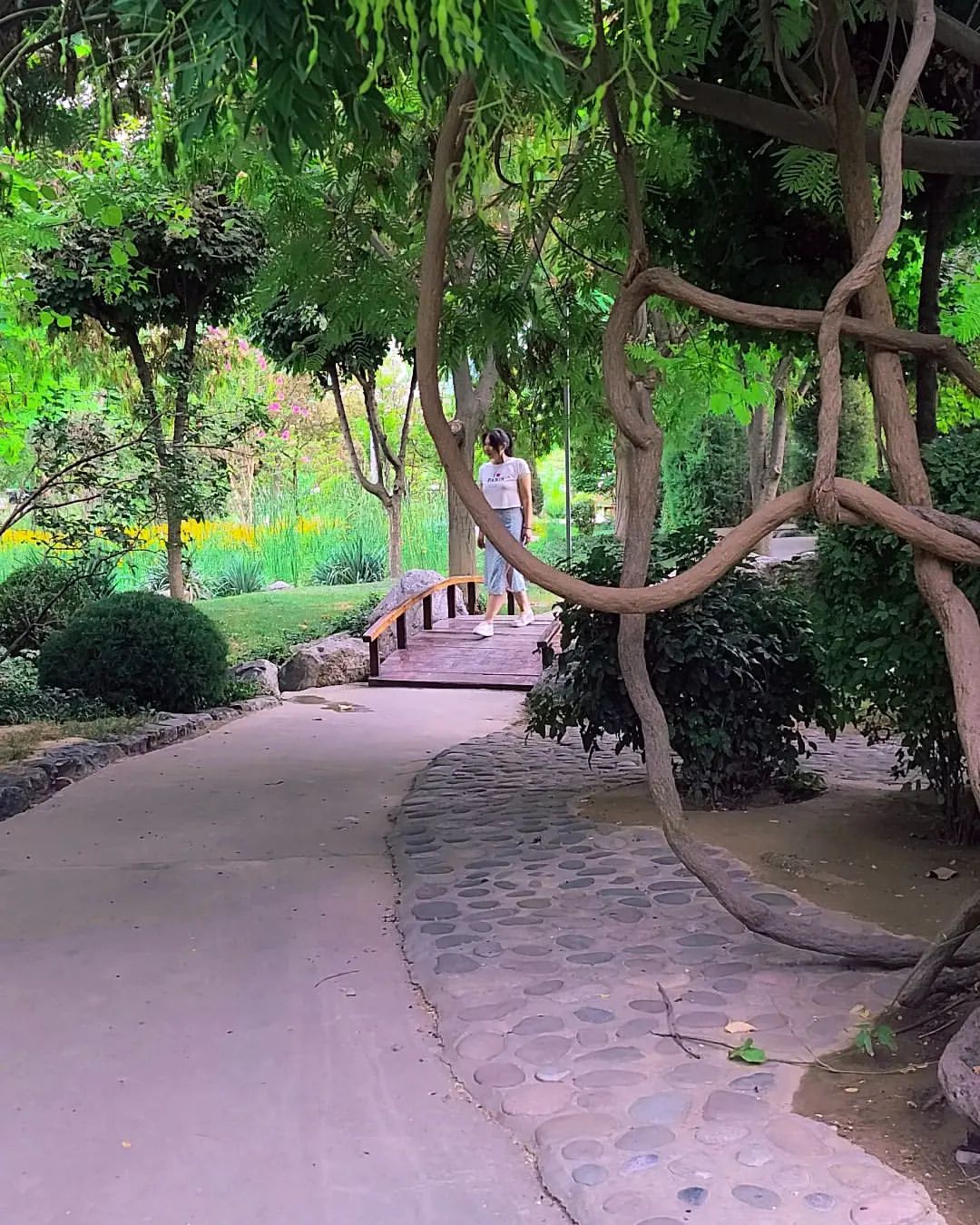 naniko3112 в LOOKY — фото 8