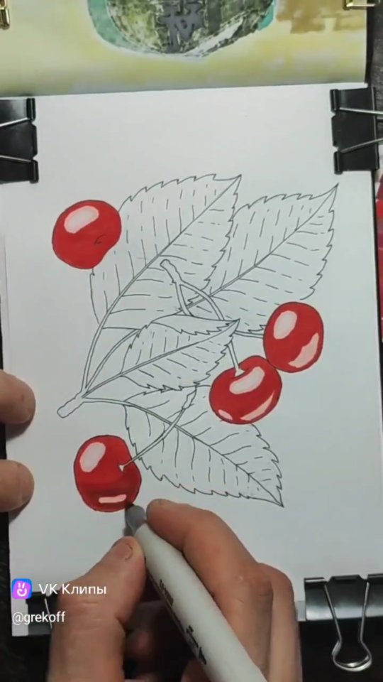 gr3koff in LOOKY. #sketch #sketchmarker #sketchmarkers #скетч #скетчмаркерами #маркеры #скетчбук #sketchbook #art #набросок #творчество #рисование #copic #touchsmooth #акрил #пастель #акварель #градиент #рисуйкаждыйдень #просторисуй #cherry,#вишня,#лето. #sketch #sketchmarke...
