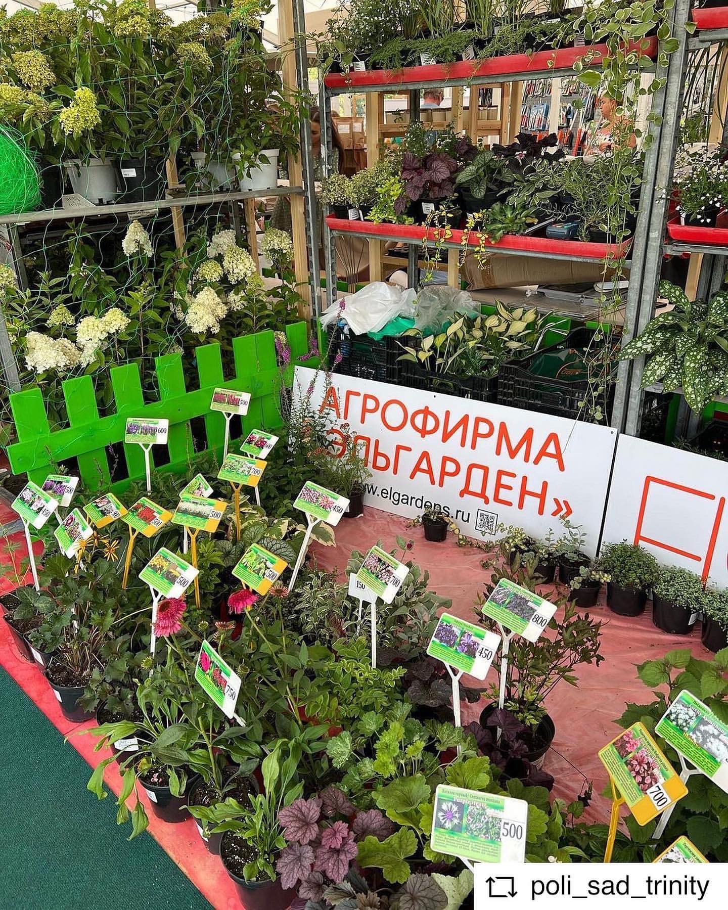 poli_sad_trinity в LOOKY — фото 6
