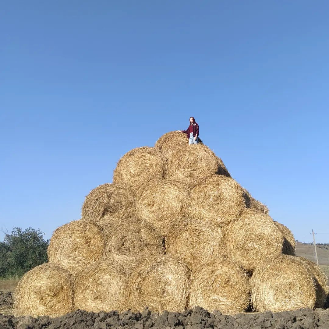 alekss_life в LOOKY — публикация