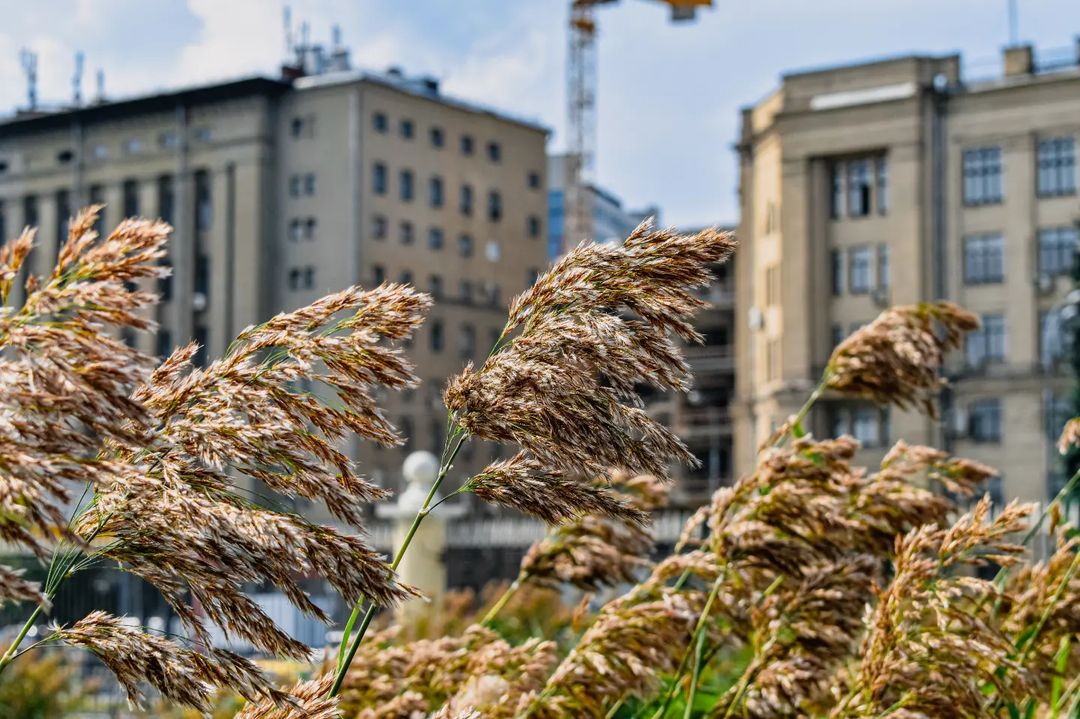 vyachill_out в LOOKY — фото 8