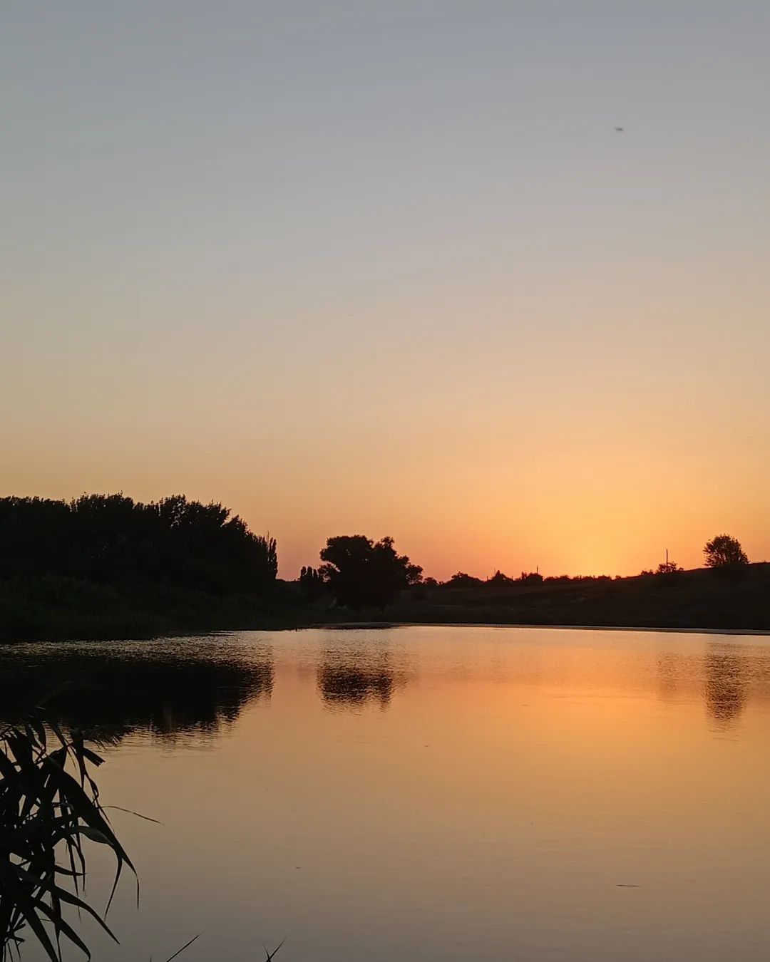 marina.den в LOOKY. . null