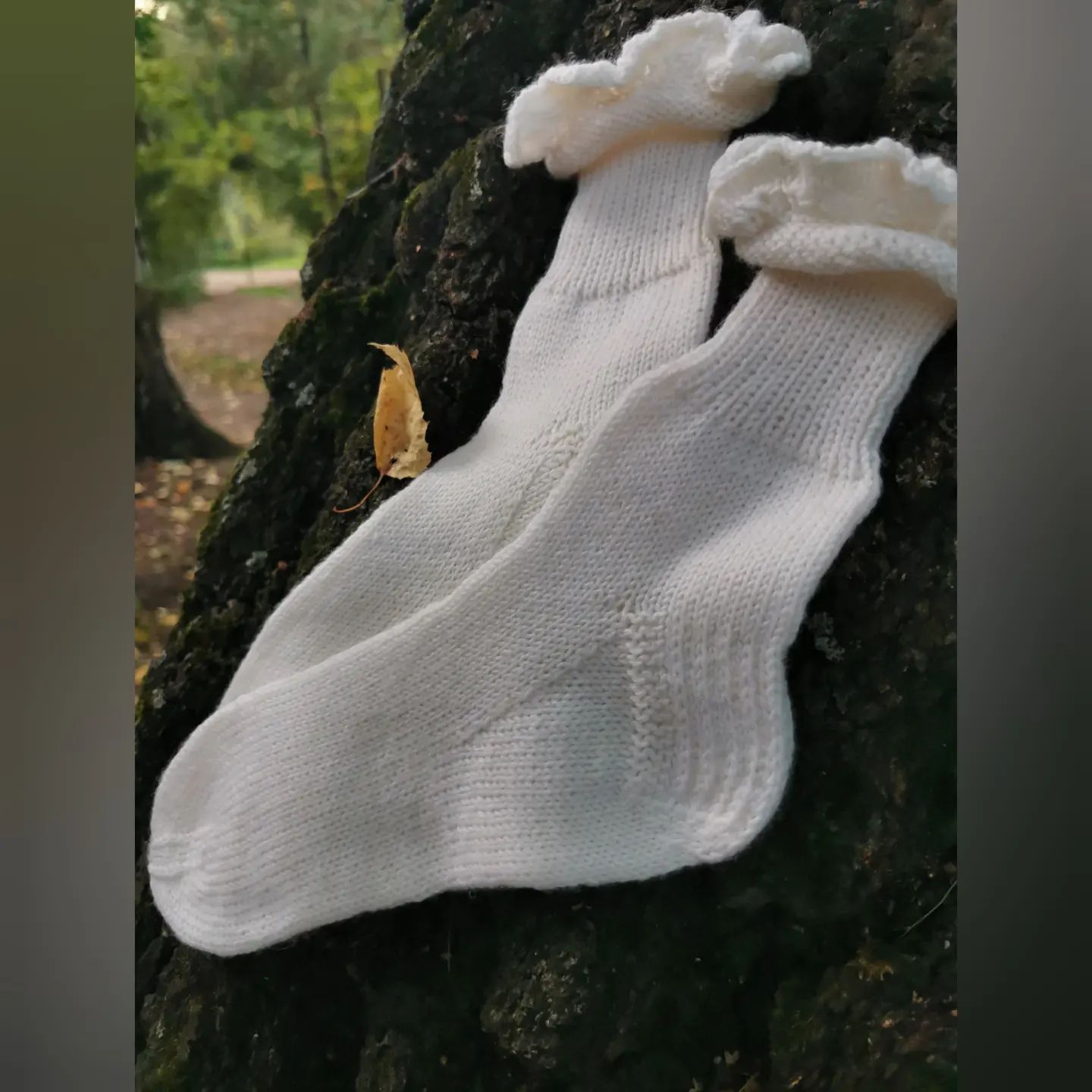 tomovna в LOOKY. #регия,#носочнаяпряжа,#knitprozing,#вяжунаспицах,#вяжуспицами,#люблювязать,#вязаниевбарнауле,#вязание,#дачныебудни,#летонаалтае,#любимаядача,#дачканаюжном. Прошедщее лето у мен...
