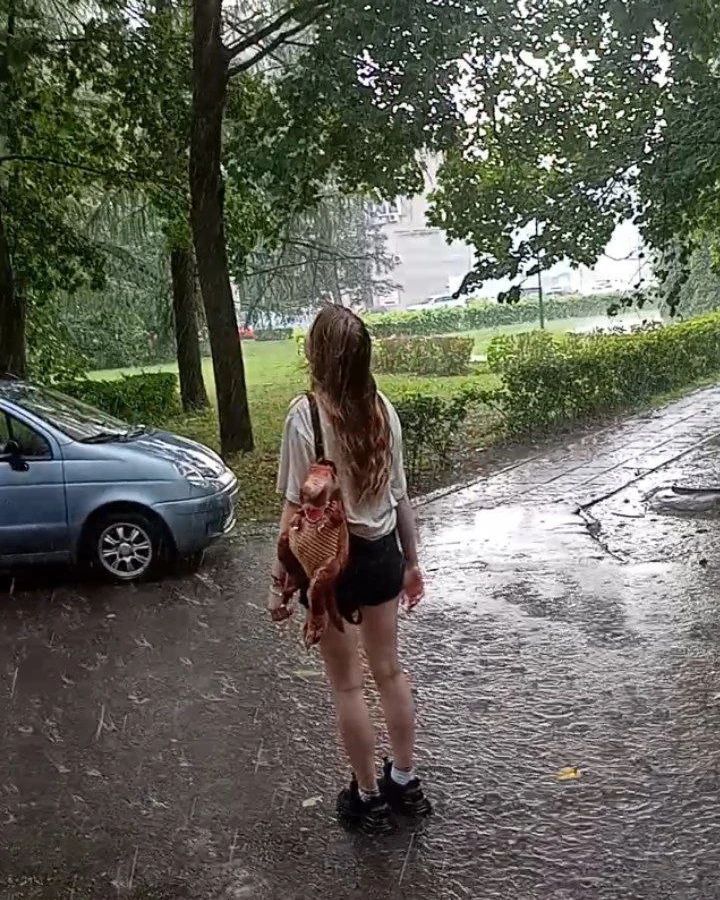 magicmoron666 в LOOKY. . Солнце после дождя.....