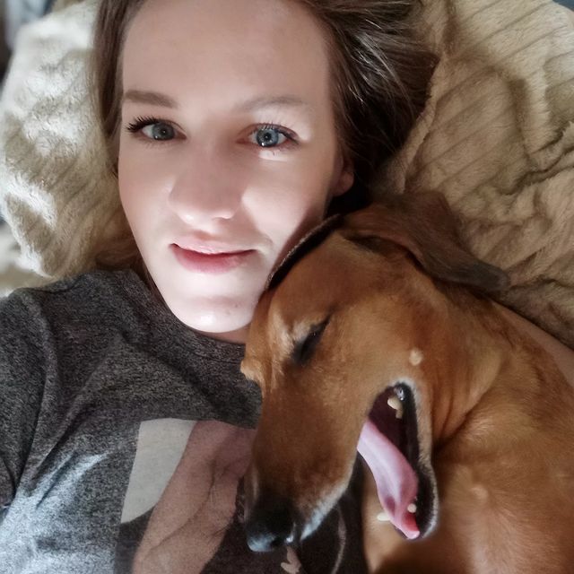 e_katerina_ga в LOOKY. #такса,#таксалучшийдруг,#таксалучшаясобака,#doxie,#dachshundsgram,#dachshunds,#dachshundsofinstagram. самое время для тёпл...