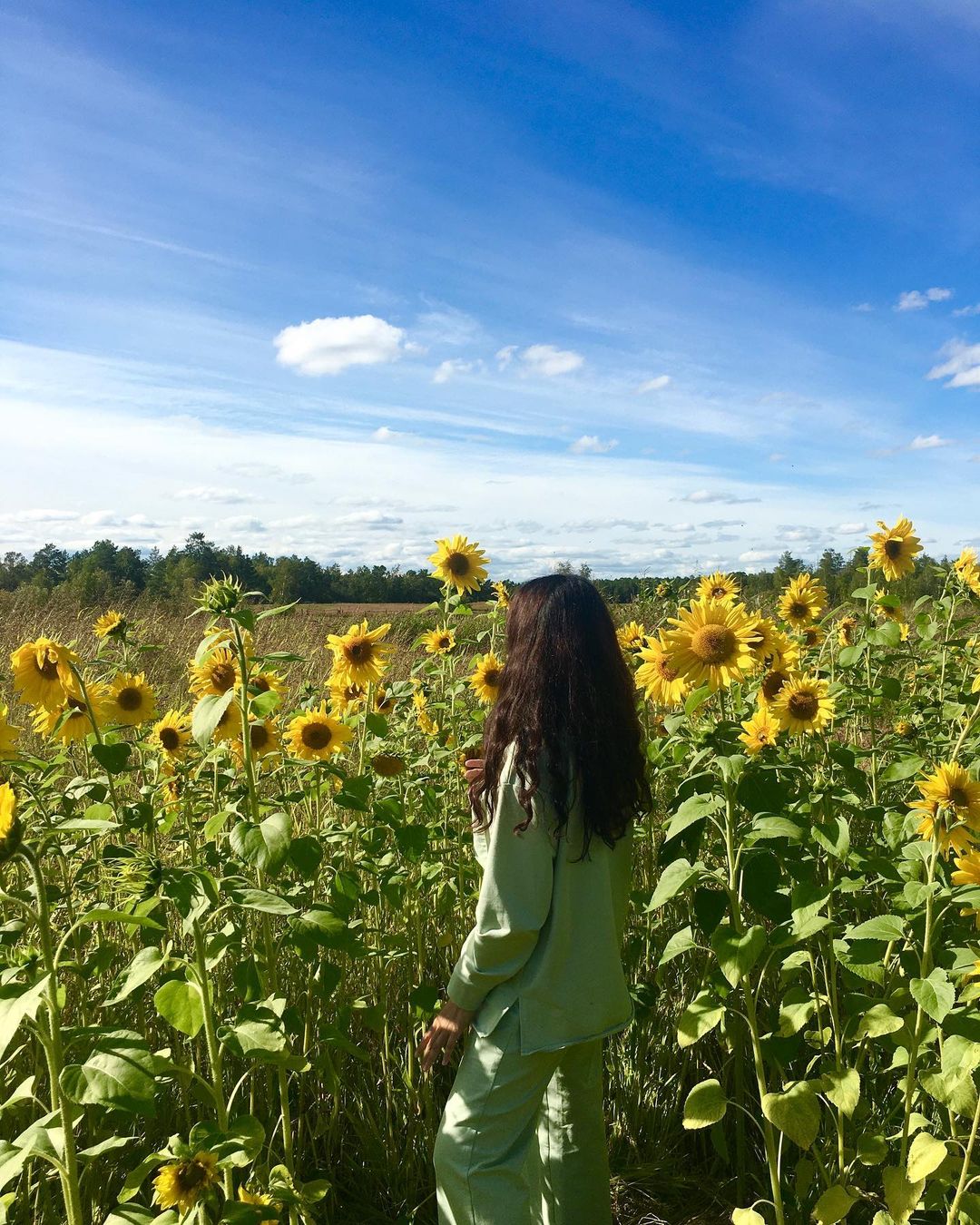 🌻