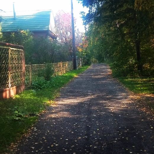 ket_kosterina в LOOKY. . null