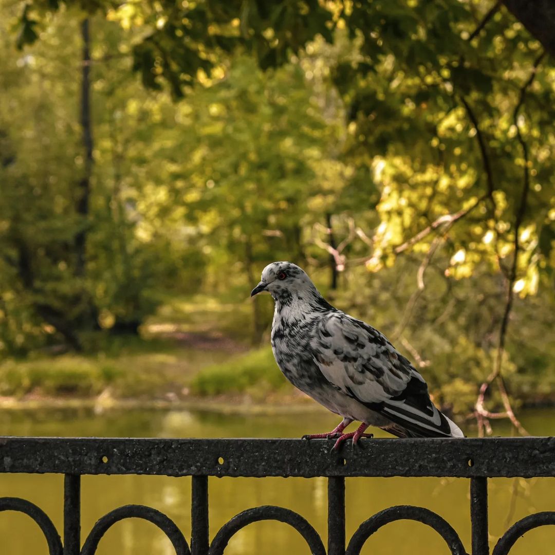 vyachill_out в LOOKY — фото 3