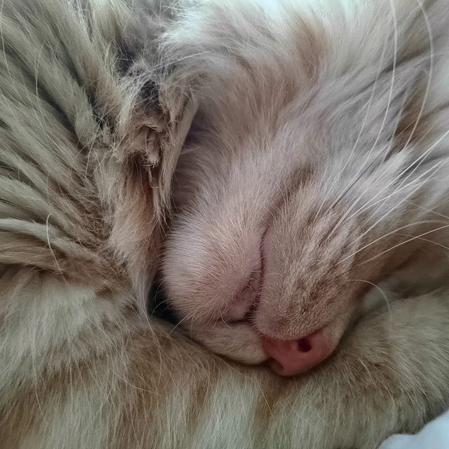 ksu_888love_me в LOOKY. . null