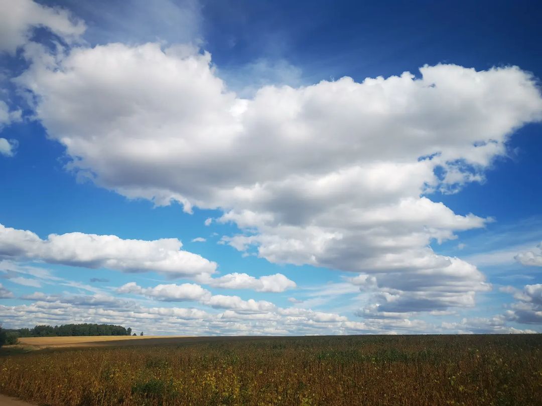 Под фотографией текст, не ставь ❤️ пока не прочтёшь, мне не нужны пустые лайки, я хочу чтобы ты проникся атмосферой фотографии... 

Есть своя прелесть в осеннем небе, облака такие мясистые и тяжёлые... В сочетании с линией поля, уходящего далеко в горизонт, эти ватные подушки смотрятся будто упавшая листва на водной глади, медленно и неспешно проплывающая в сторону указанную ветром. Кажется, что вот вот ещё немного и они спустятся ещё ниже, ко мне, и я смогу дотронуться до них рукой. От подобный мыслей появляется чувство умиротворение и настоящего Чуда! Я будто попала в волшебную сказку и стала её главным героем, который может обнять облака. 💙

#маленькоепутешествие #русскоеполе #природа #облака #осень #наединесдушой #горизонт #деревня #рязанскаяоблась #московскаяобласть #облась #мысливслух #родина