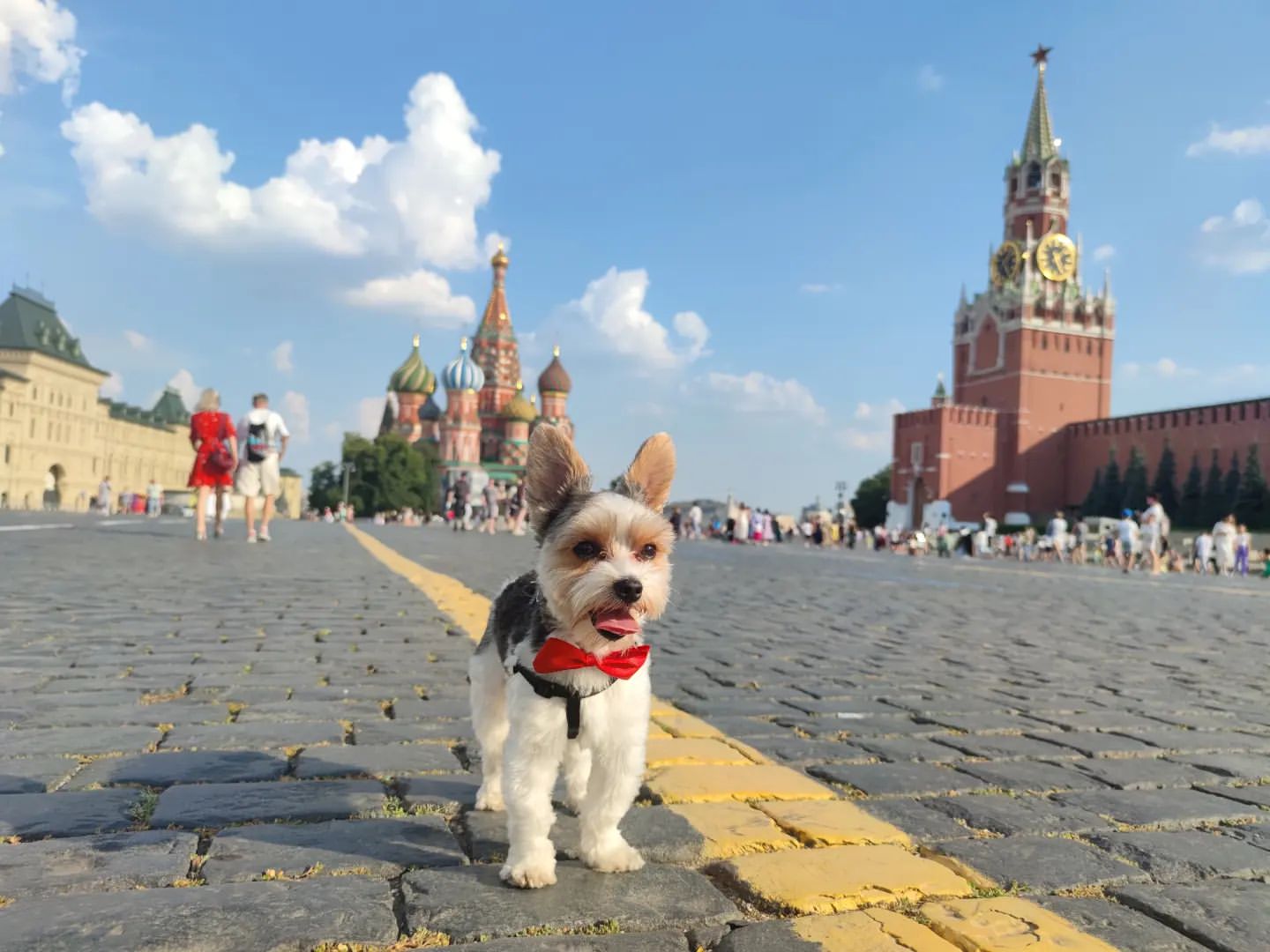 karin_chik в LOOKY. . Прогулка с любимым П...