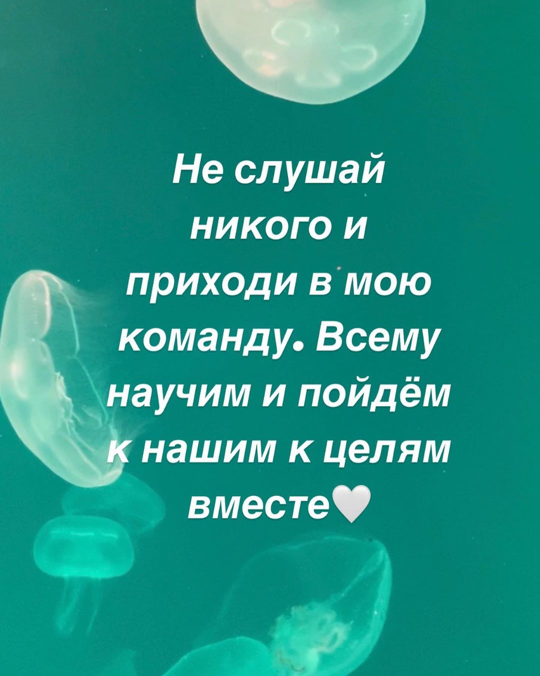 ti_so_mnoy в LOOKY — фото 10
