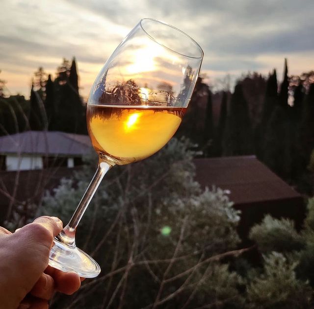 idenisss в LOOKY. #Шардоне,#осень,#осень2022,#коронавирус,#винишко,#ilovewine,#пьем,#бокалвина,#бутылка,#сюрприз,#подсказка,#совет,#что,#москва#нижнийновгород,#винишко,#вино,#виновино,#сентябрь,#америка,#США,#винчик,#шардоне. Осень, пора сбора Ви...