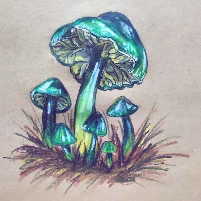finodin.ka_art в LOOKY. #грибной_бум,#hygrocybe,#hygrocybepsittacina,#mashroom,#mashrooms,#autumn,#autumnfest,#artfall,#green,#craft,#craftpaper,#грибнойсезон,#грибной_марафончик,#грибы,#гигроцибе,#гигроцибепестрая,#maxgoodz_sketchbooks,#maxgoodz. Это самый обаятельны...