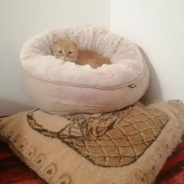 kyrkiekgor в LOOKY. . Знакомьтесь, это Мар...
