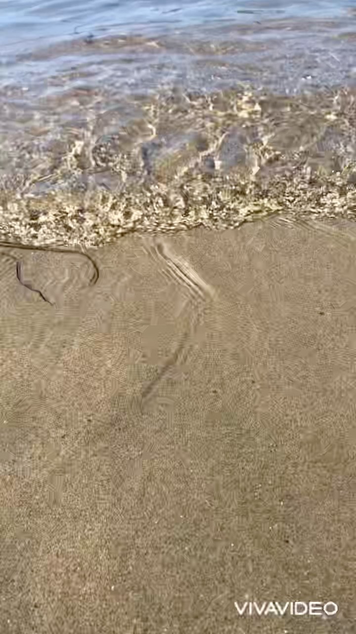iuliiabarabasho в LOOKY. #базаотдыха,#океан,#андреевка. Океан🌊 Самое лучшее...