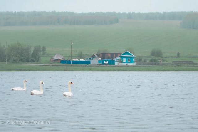 danilinanata в LOOKY. . Как прекрасно наблюд...